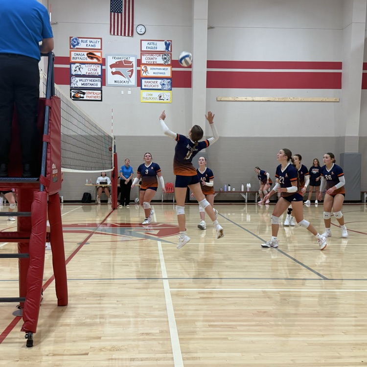 HS VB