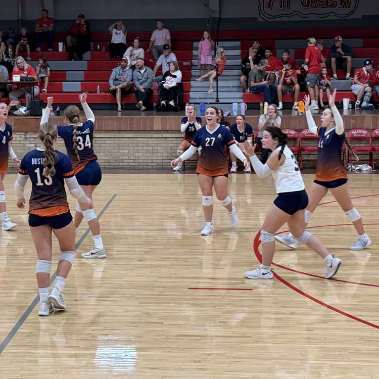 HS VB