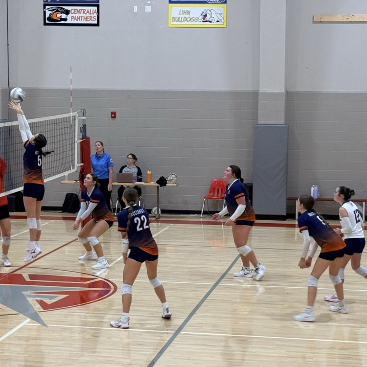 HS VB