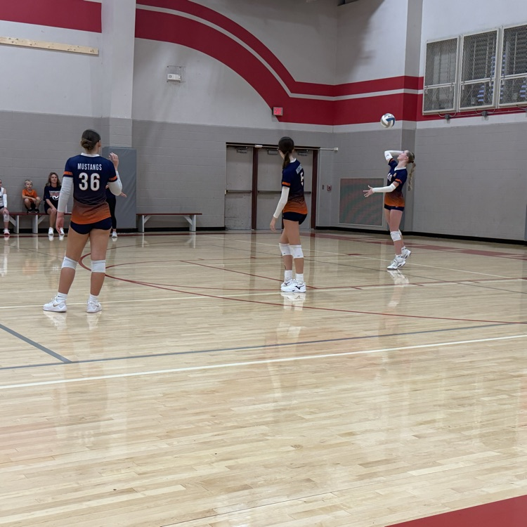 HS VB