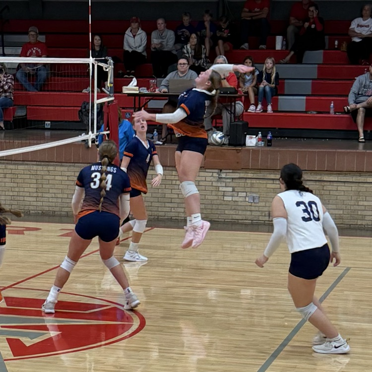 HS VB