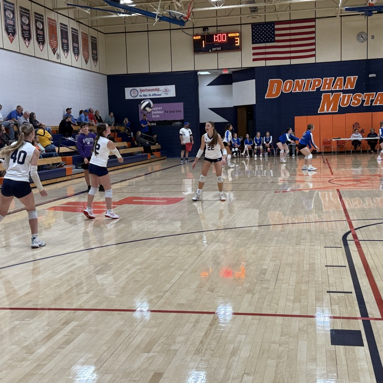 JV VB