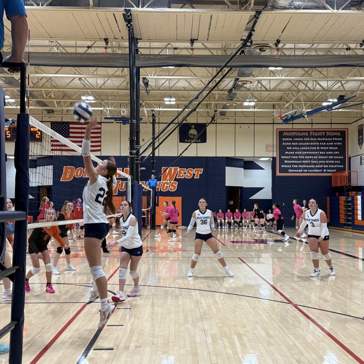 JV VB
