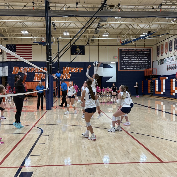 JV VB