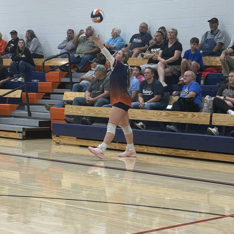 HSVB