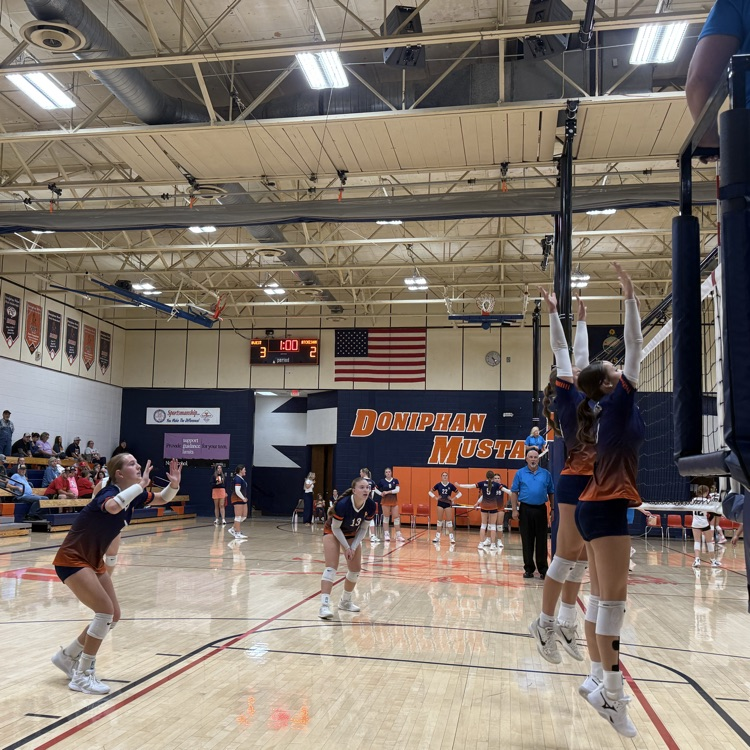 HSVB