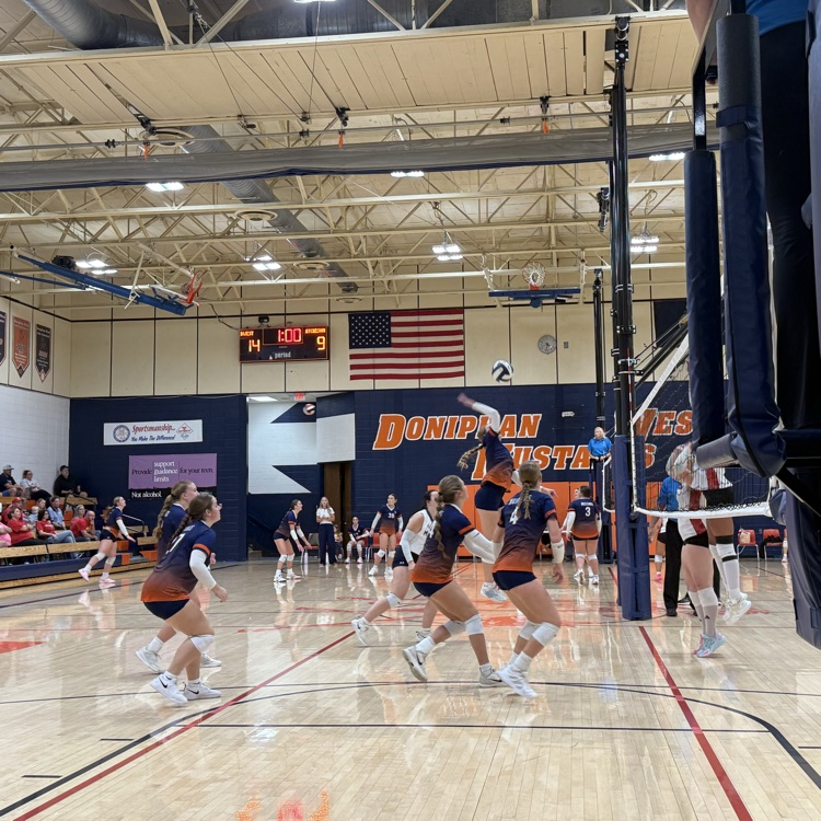 HSVB