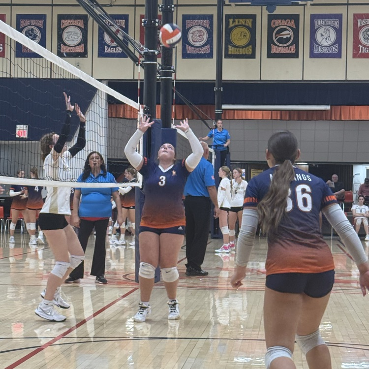 HSVB