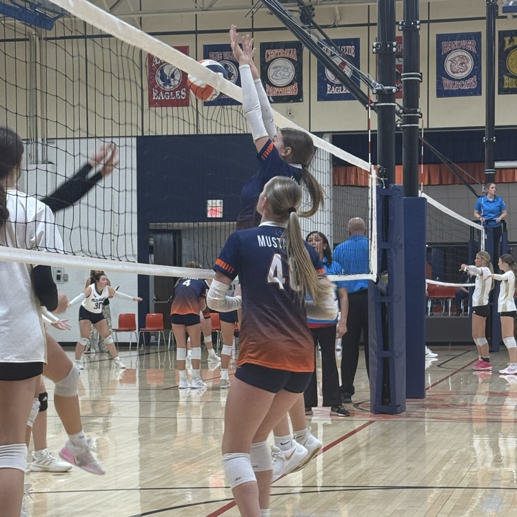HSVB