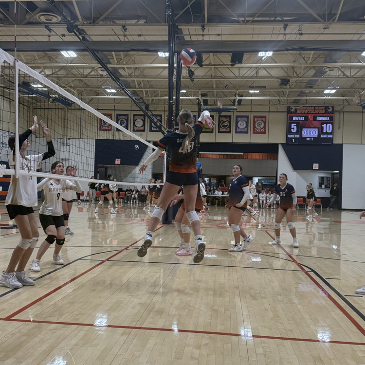 HSVB