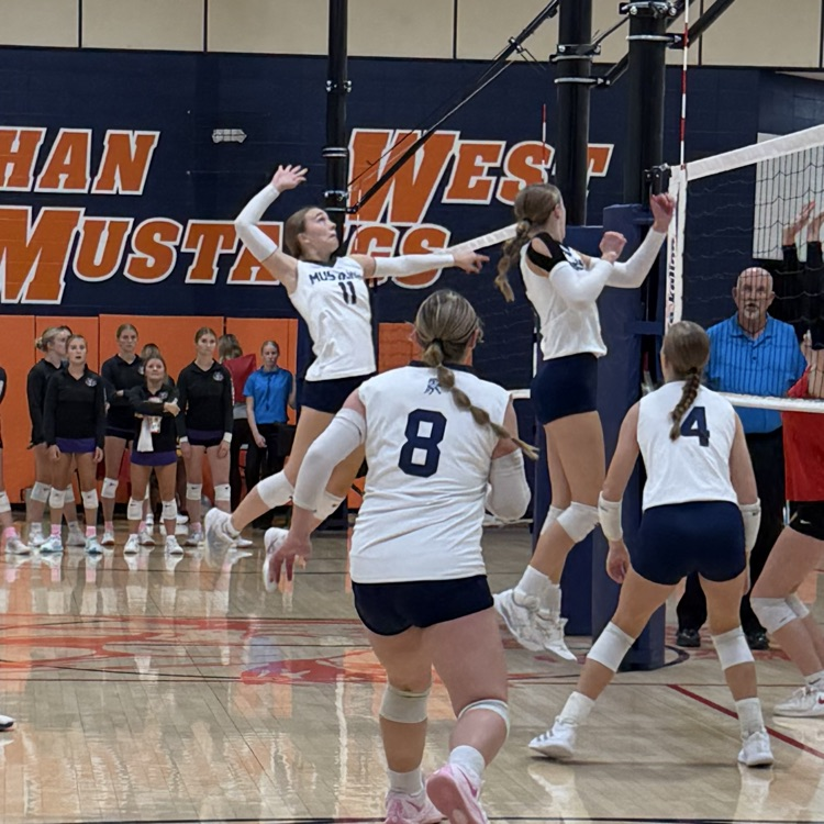 HS VB