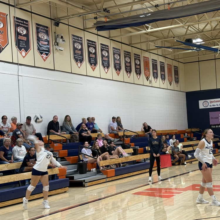HS VB