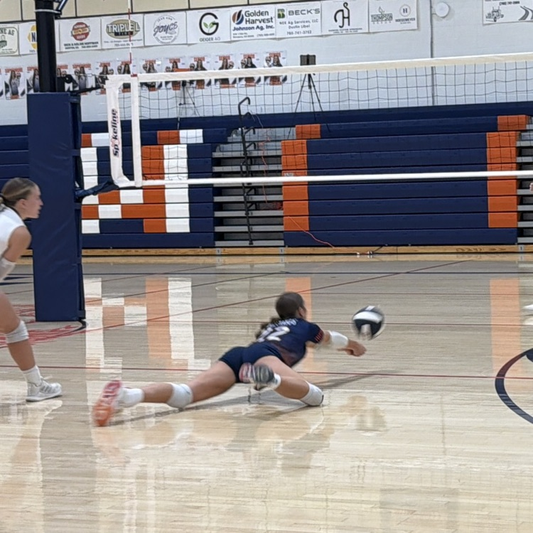 HS VB