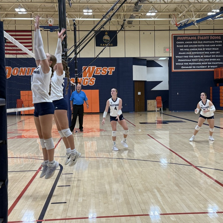 HS VB