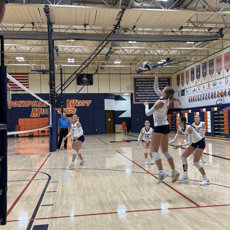 HS VB