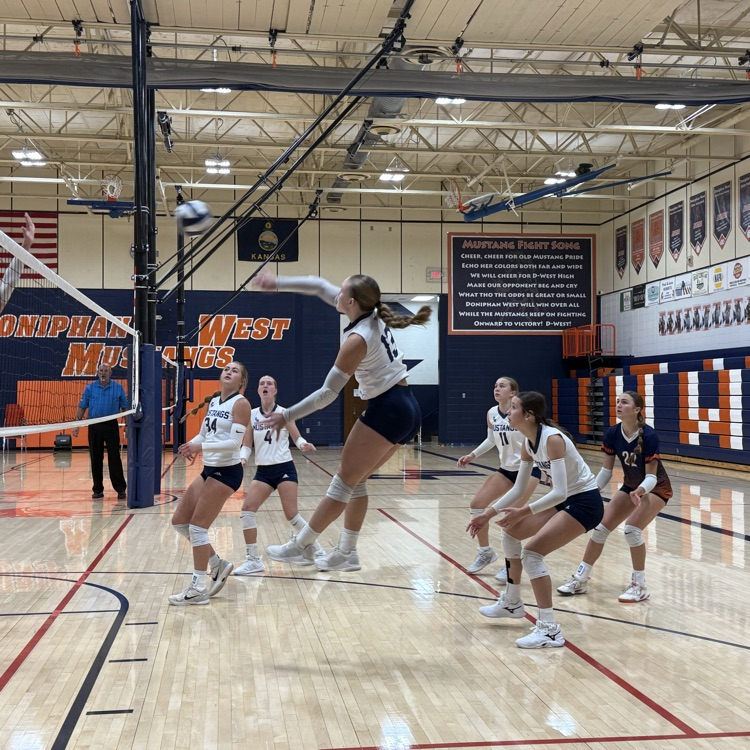 HS VB