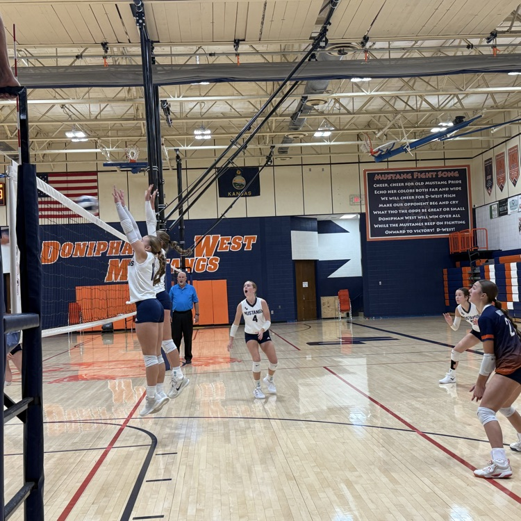 HS VB