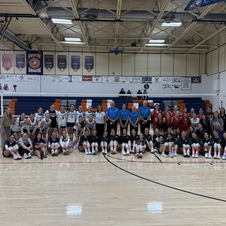 HS VB