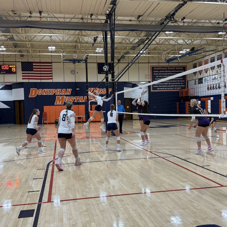 HS VB