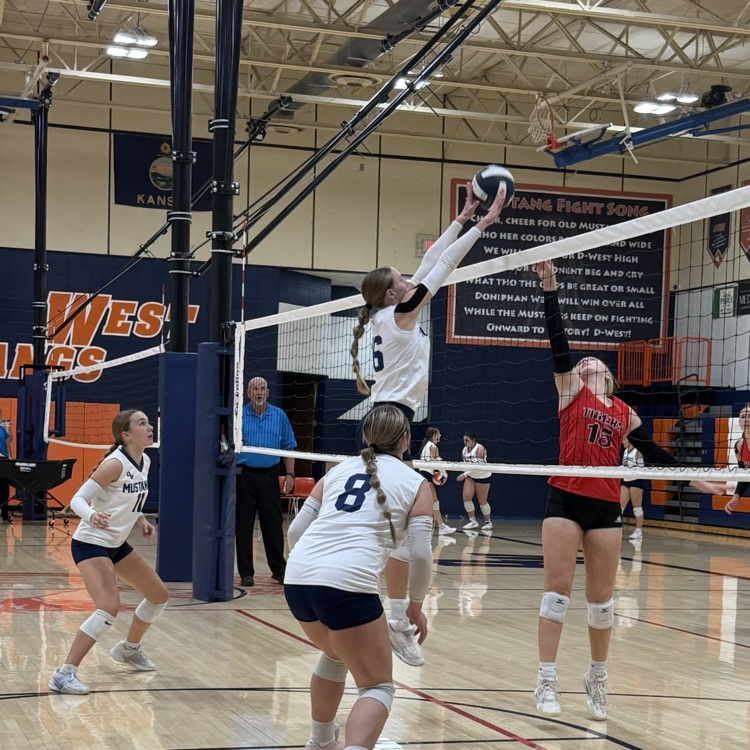 HS VB