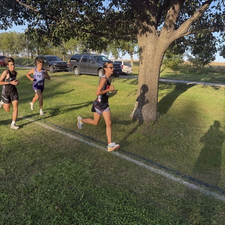 HS CC