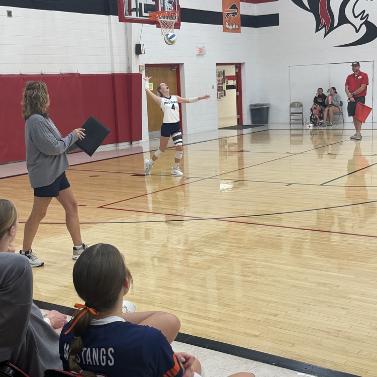 HS VB