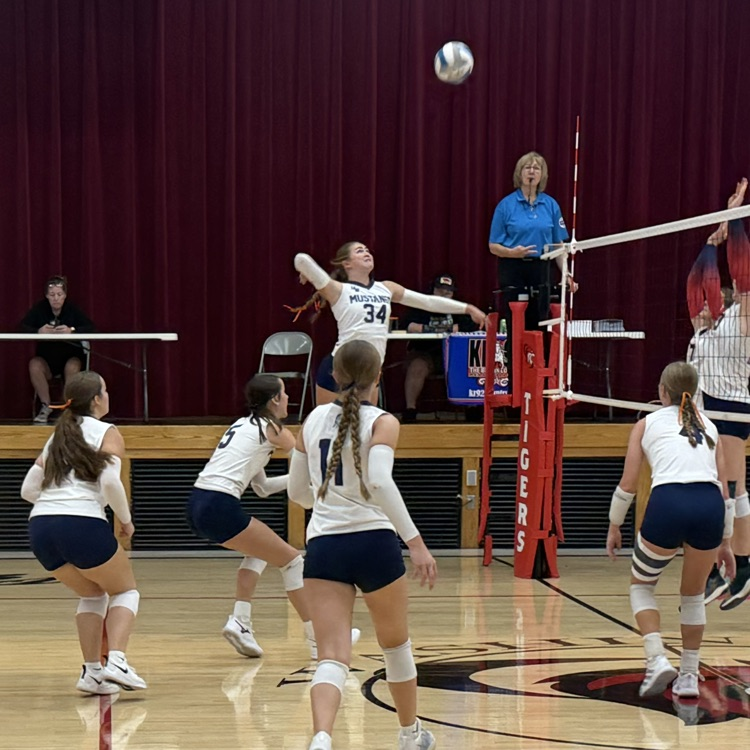 HS VB