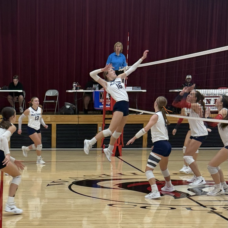 HS VB