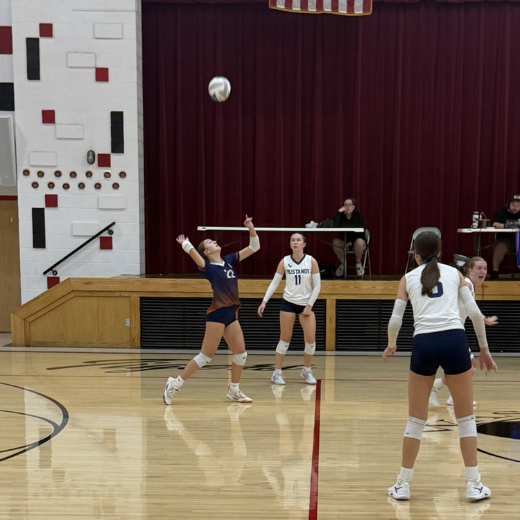 HS VB