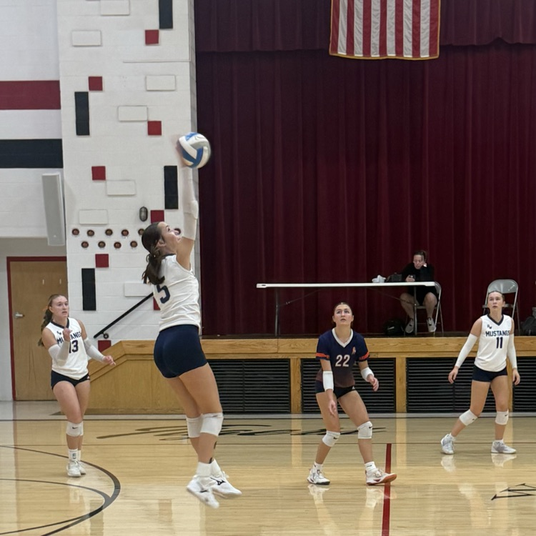 HS VB