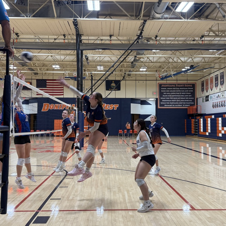 HS VB