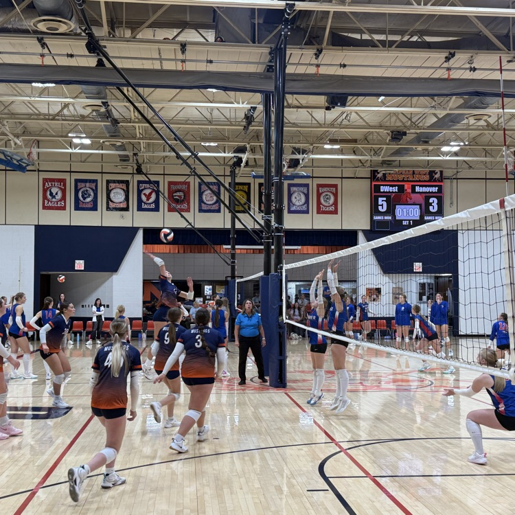 HS VB