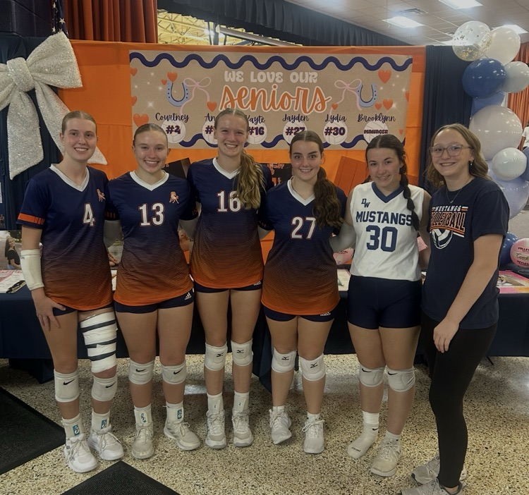 VB Seniors