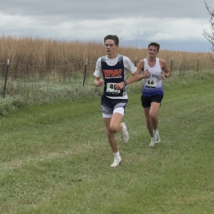 HS CC