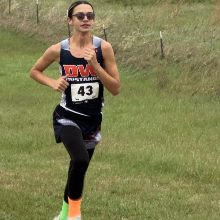 HS CC