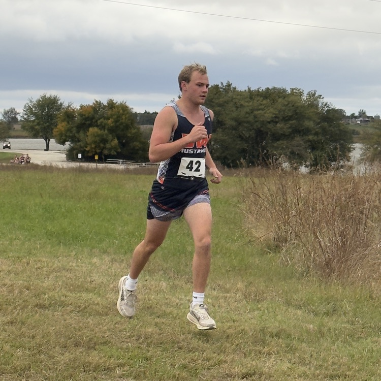 HS CC