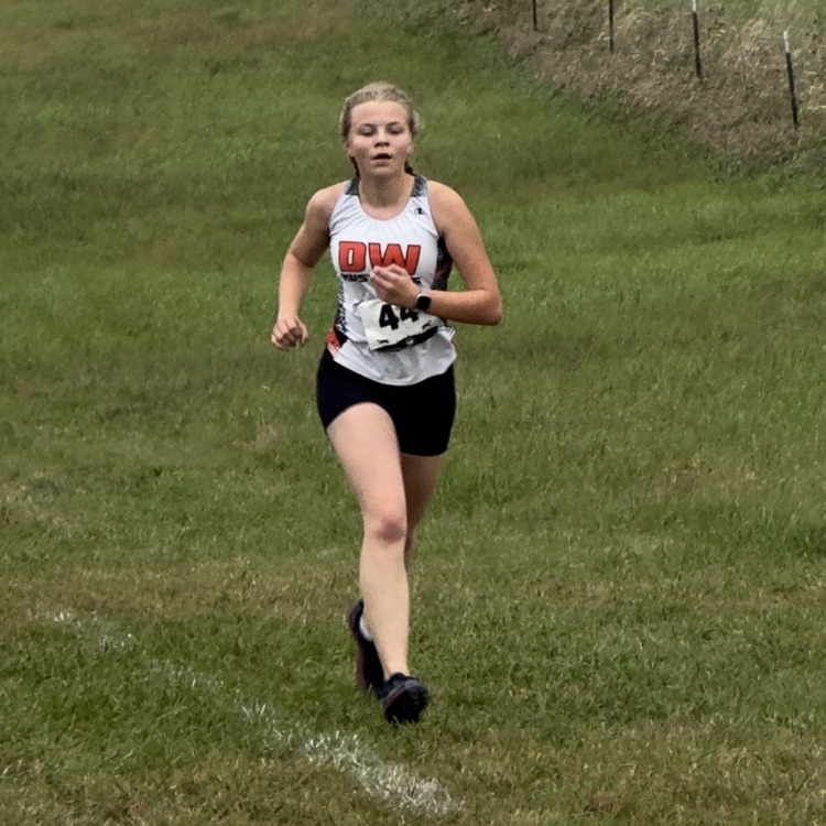 HS CC