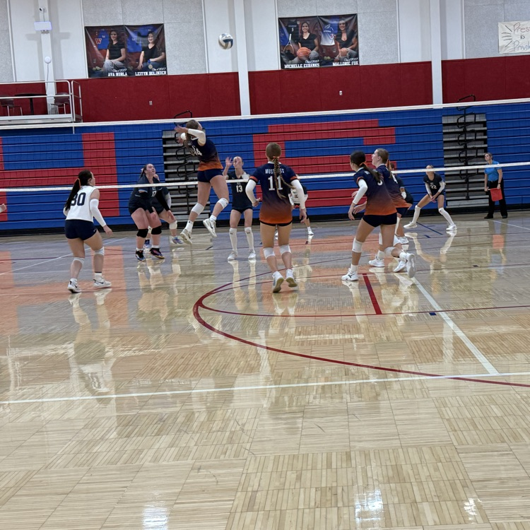 HS VB