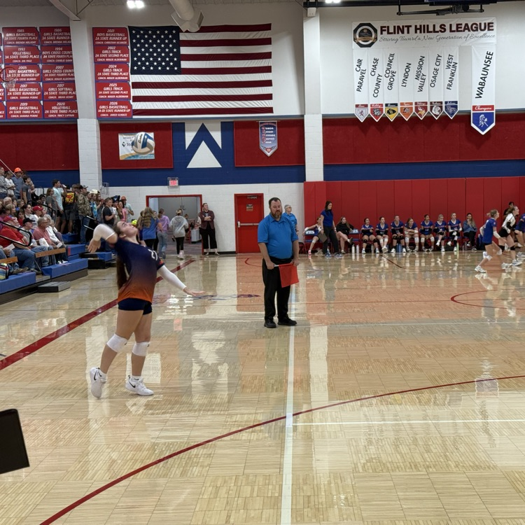 HS VB