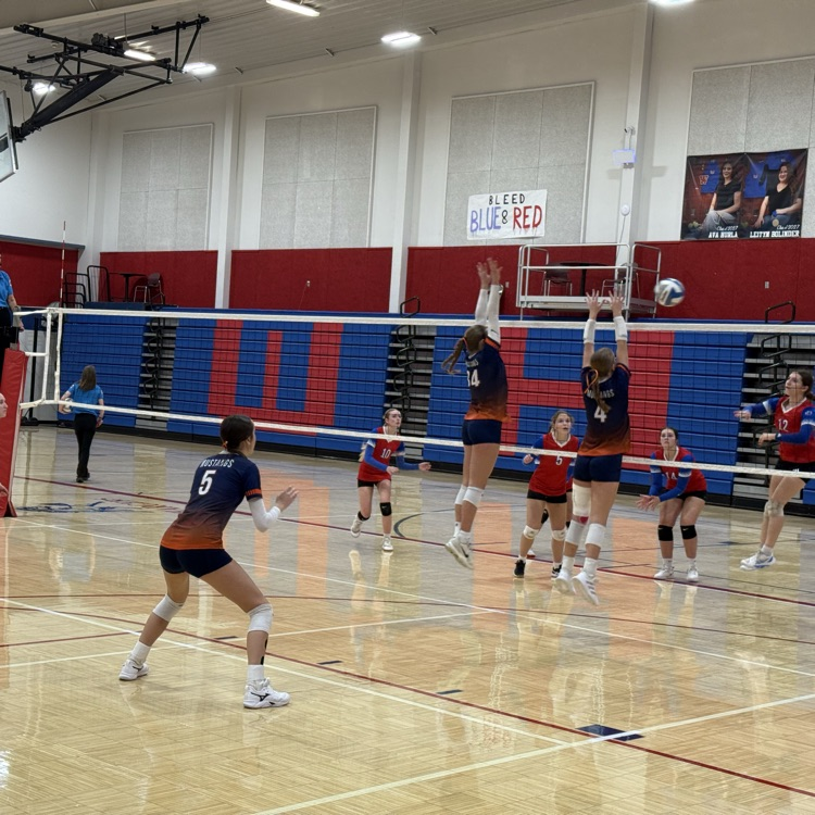 HS VB