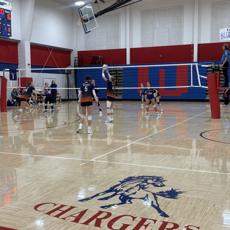 HS VB