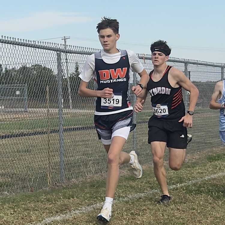 HS CC