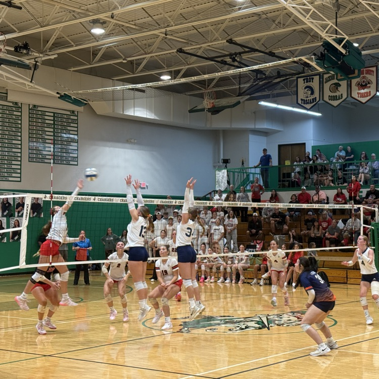HS VB