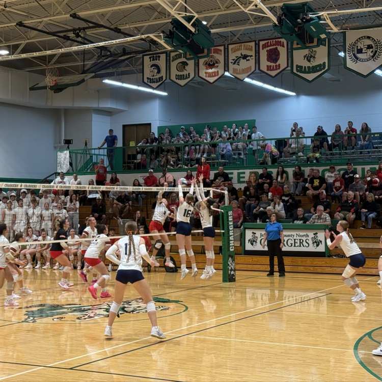 HS VB
