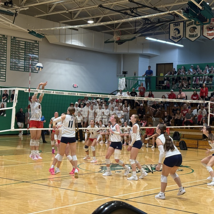 HS VB