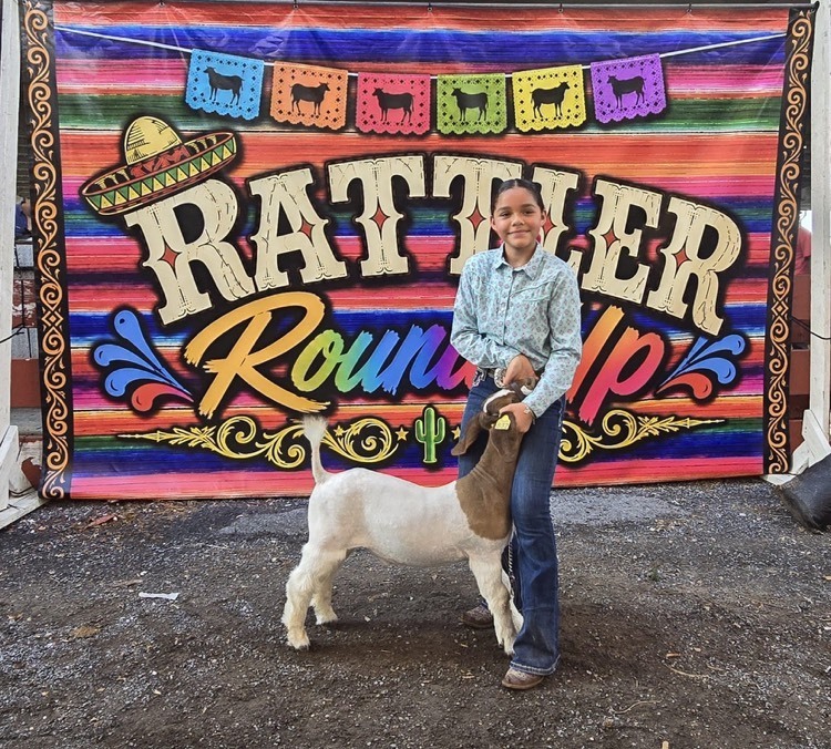 Andria Rattler Round Up