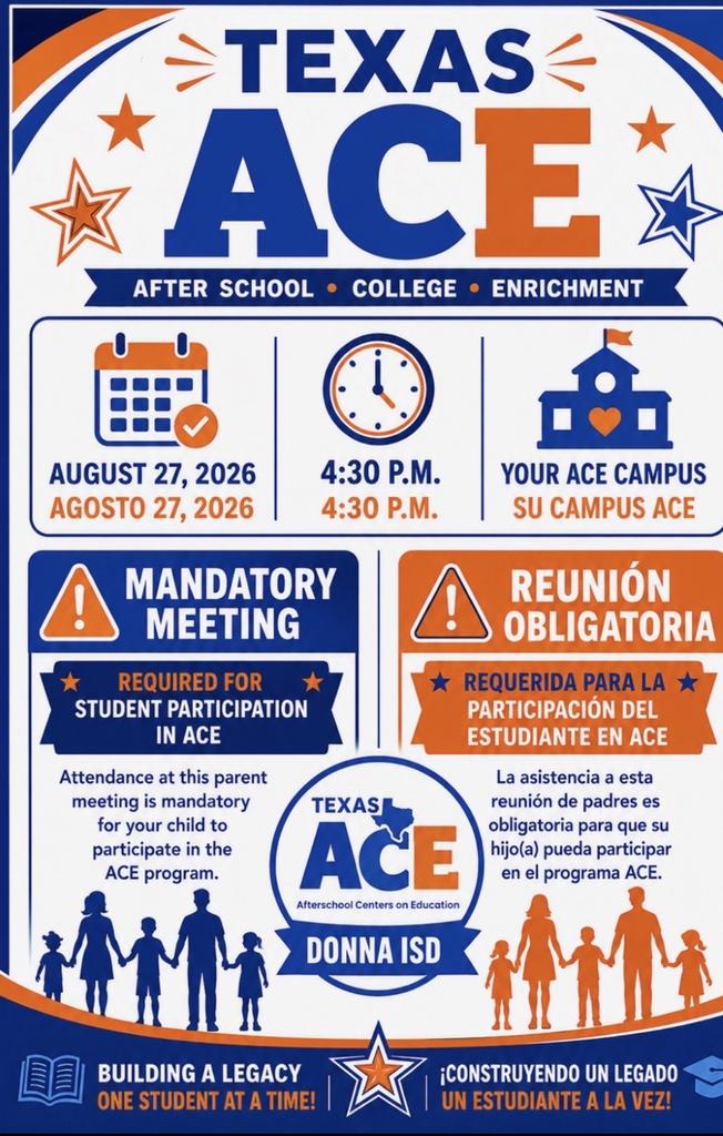 ace flyer
