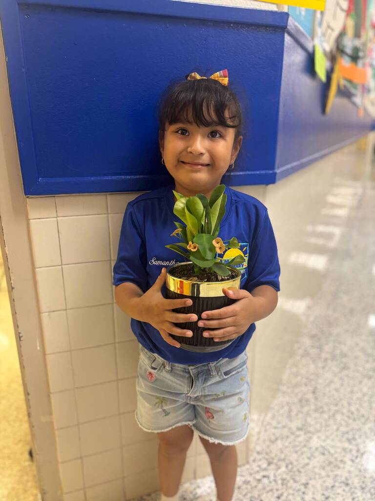 plant donation