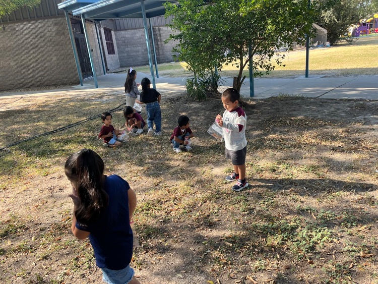 PreK-3 students exploring nature. 