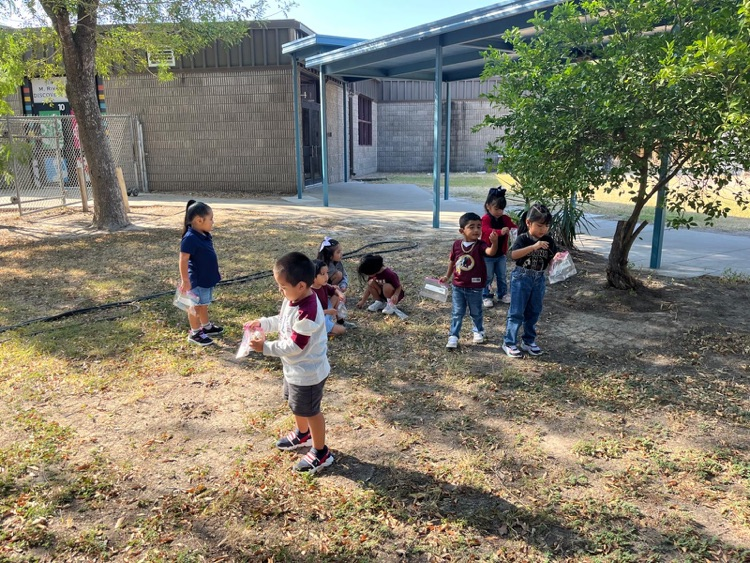 PreK-3 students exploring nature. 